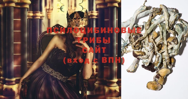 стафф Богородицк