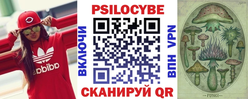 Псилоцибиновые грибы GOLDEN TEACHER  Наро-Фоминск 